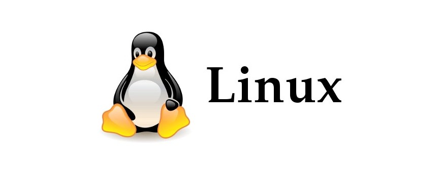 Recepteur satellite Linux hybride
